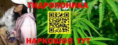 меф Гатчина