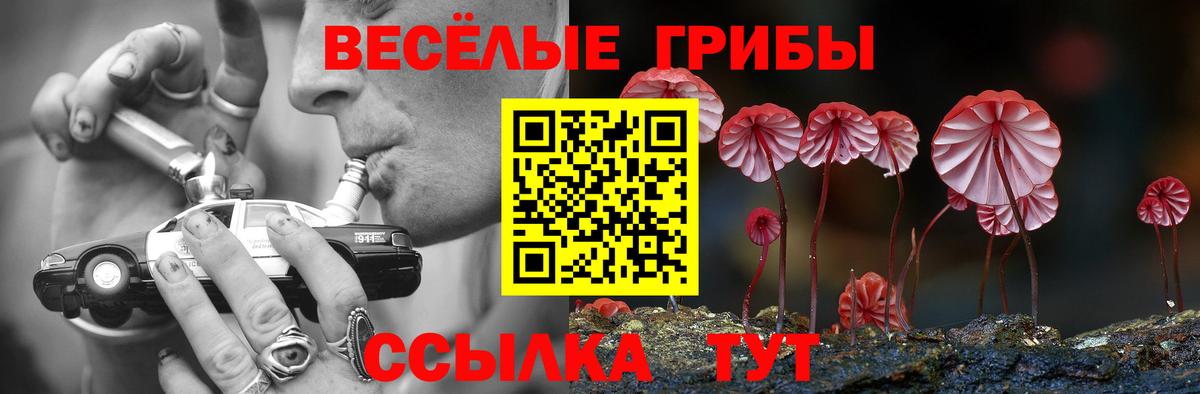 Галлюциногенные грибы GOLDEN TEACHER  Галлюциногенные грибы MAGIC MUSHROOMS  Кудымкар  Вход с VPN 